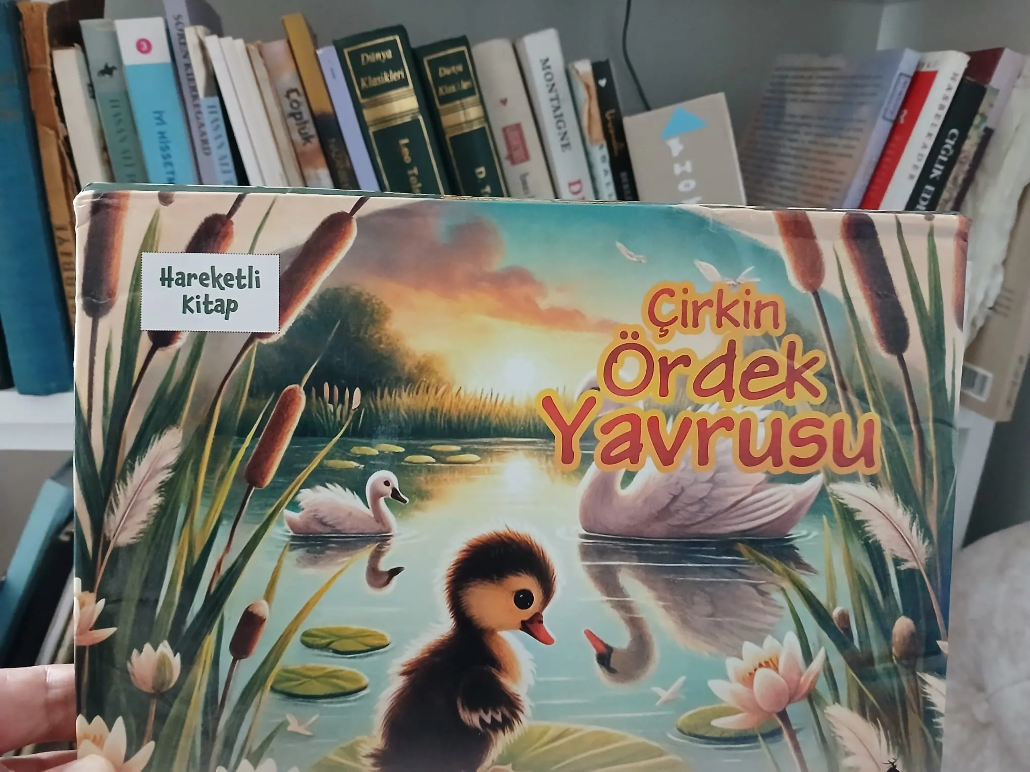 Çirkin Ördek Yavrusuna Yeni Bir Bakış